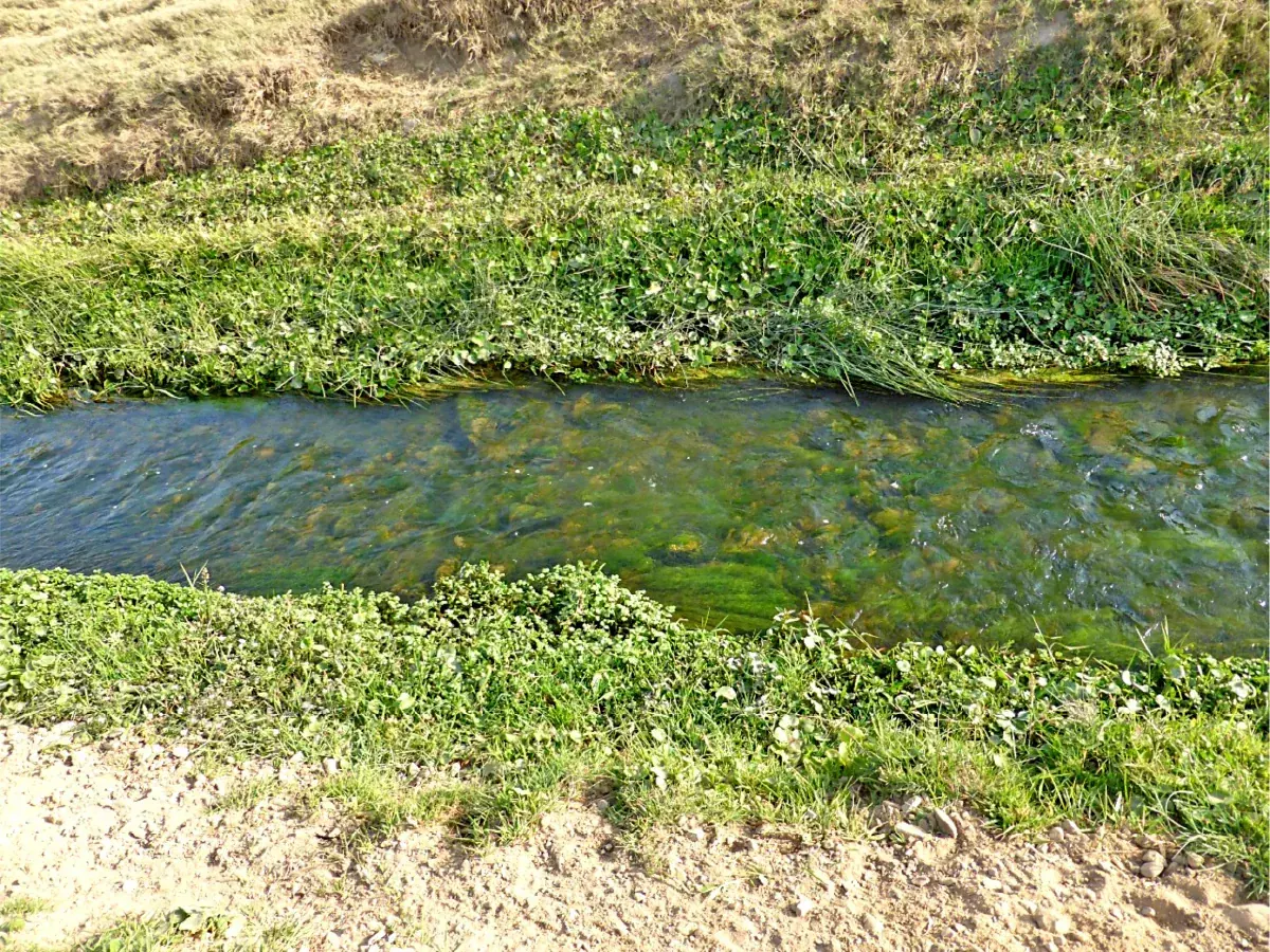 Calidad del Agua de Riego en la Agricultura
